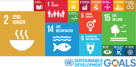 FAO Internship Programme